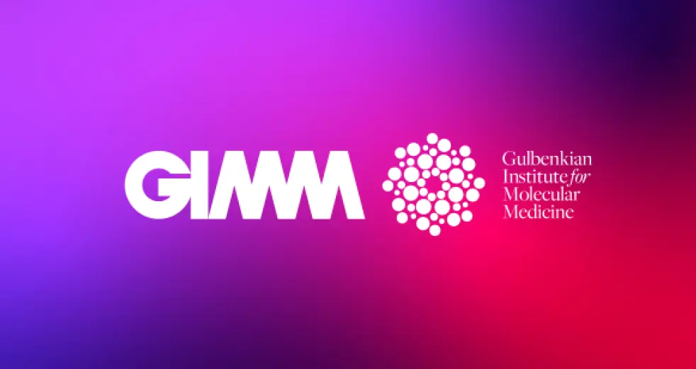 GIMM news
