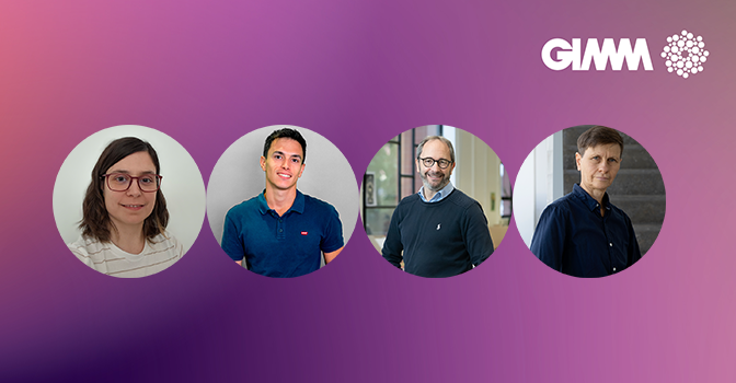 GIMM news