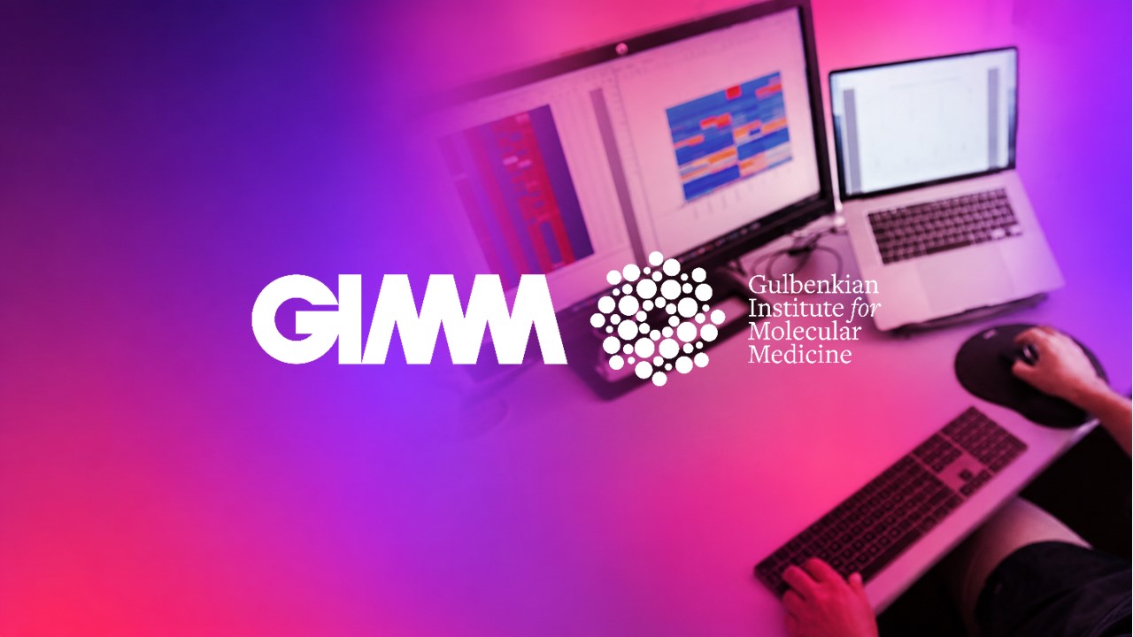 GIMM news